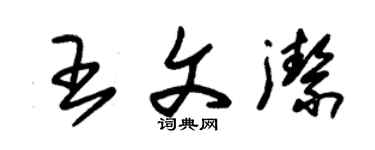 朱锡荣王文洁草书个性签名怎么写