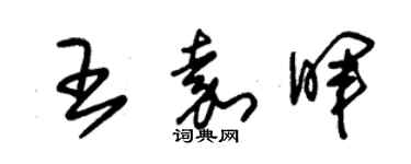 朱锡荣王嘉晖草书个性签名怎么写