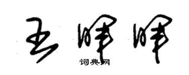 朱锡荣王晖晖草书个性签名怎么写