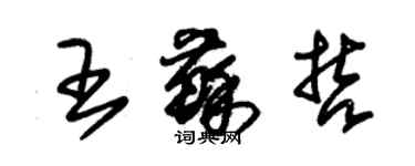 朱锡荣王苏哲草书个性签名怎么写