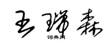 朱锡荣王瑞森草书个性签名怎么写