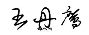朱锡荣王丹鹰草书个性签名怎么写