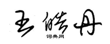 朱锡荣王皓丹草书个性签名怎么写