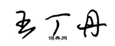 朱锡荣王丁丹草书个性签名怎么写