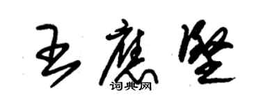 朱锡荣王应坚草书个性签名怎么写