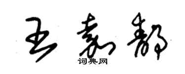 朱锡荣王嘉静草书个性签名怎么写
