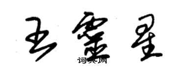 朱锡荣王灵星草书个性签名怎么写