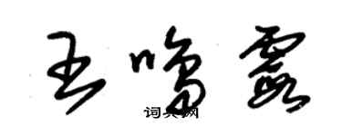 朱锡荣王鸣霞草书个性签名怎么写