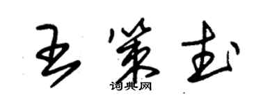 朱锡荣王策武草书个性签名怎么写