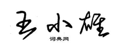 朱锡荣王小雄草书个性签名怎么写