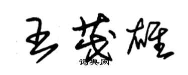 朱锡荣王茂雄草书个性签名怎么写