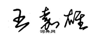 朱锡荣王嘉雄草书个性签名怎么写