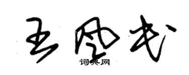 朱锡荣王风民草书个性签名怎么写