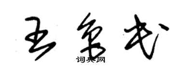 朱锡荣王鲁民草书个性签名怎么写