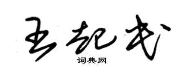 朱锡荣王起民草书个性签名怎么写
