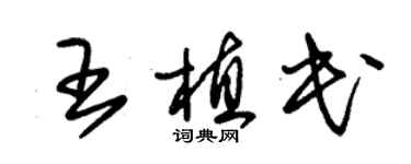 朱锡荣王植民草书个性签名怎么写