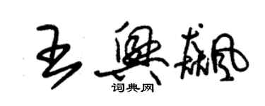 朱锡荣王兴飚草书个性签名怎么写