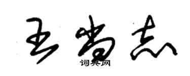 朱锡荣王尚志草书个性签名怎么写