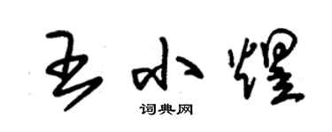 朱锡荣王小煜草书个性签名怎么写