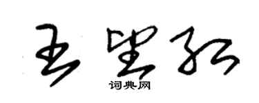 朱锡荣王望红草书个性签名怎么写