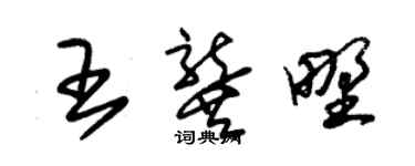 朱锡荣王龚野草书个性签名怎么写