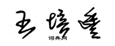朱锡荣王培丰草书个性签名怎么写