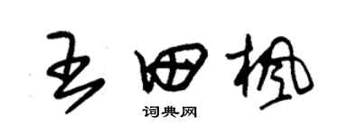 朱锡荣王田枫草书个性签名怎么写