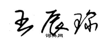 朱锡荣王辰琛草书个性签名怎么写