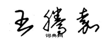 朱锡荣王腾嘉草书个性签名怎么写