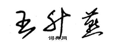 朱锡荣王升燕草书个性签名怎么写