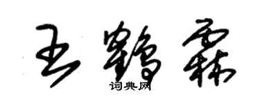 朱锡荣王鹤霖草书个性签名怎么写
