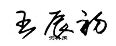 朱锡荣王辰初草书个性签名怎么写