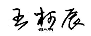朱锡荣王柯辰草书个性签名怎么写