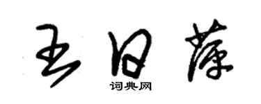 朱锡荣王日萍草书个性签名怎么写