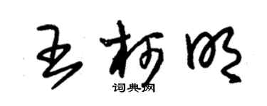 朱锡荣王柯明草书个性签名怎么写