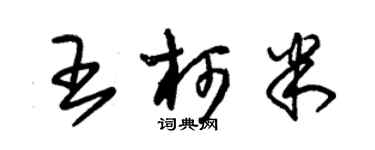 朱锡荣王柯米草书个性签名怎么写