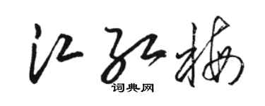 骆恒光江红梅草书个性签名怎么写