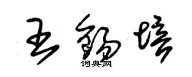 朱锡荣王锡培草书个性签名怎么写