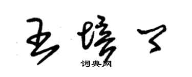 朱锡荣王培卿草书个性签名怎么写