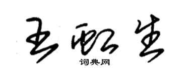 朱锡荣王虹生草书个性签名怎么写