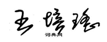 朱锡荣王培瑶草书个性签名怎么写
