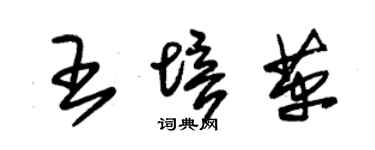 朱锡荣王培革草书个性签名怎么写