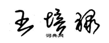 朱锡荣王培禄草书个性签名怎么写
