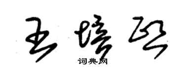 朱锡荣王培熙草书个性签名怎么写