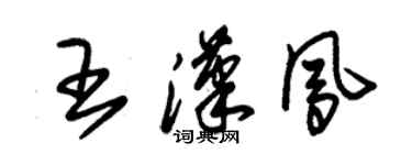 朱锡荣王汉凤草书个性签名怎么写