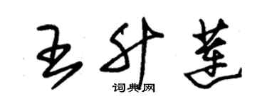 朱锡荣王升莲草书个性签名怎么写