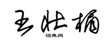朱锡荣王壮楣草书个性签名怎么写