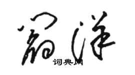 骆恒光阎洋草书个性签名怎么写