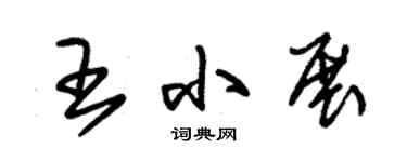 朱锡荣王小展草书个性签名怎么写