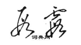 骆恒光段霞草书个性签名怎么写